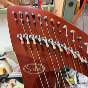 Salviのハープのメインテナンス
